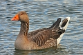 15 03 00_0826_edited-2